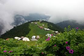 Bu nedenle tereyağında rize'nin bu özel lezzetini tercih etmek isteyenler bu bölgeden ürün temin edebilir. Rize Wikiwand