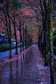 What else is there to do, right? 58 Rain Ideas Rain Umbrella Art I Love Rain