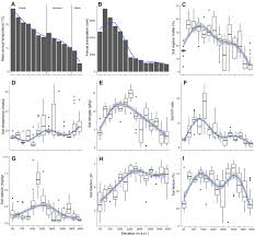 Image result for Cerastium octandrum