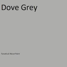 What Colour Is Dove Grey Euffslemani Com