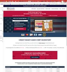 The price of the shelf corps are based on the age, previous credit history, d&b paydex score and state its located in. Tina Scam Attack 4