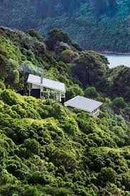 Apple Bay House Floats Amongst The Trees In New Zealand New Zealand Houses Bay House Architecture