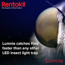 Below, we've reviewed the four best pest control companies and explain how to choose the right company for you and your home. Pest Control Rentokil Twitter