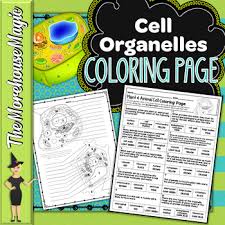 Pictures cells that have structures unlabled, students must write the labels in, this is intended for more advanced biology. Plant Animal Cell Organelles Science Color By Number Or Quiz Tpt