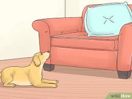 4 Ways To Keep Pets Off The Furniture