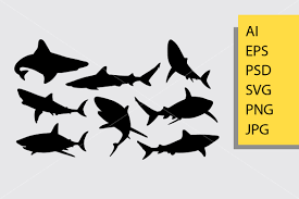 Download Shark Silhouette Graphic By Cove703 Creative Fabrica SVG Cut Files