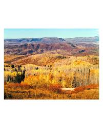 Alejandro (Alex) (@wzrd_a) • Instagram photos and videos