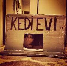 kedi candir elde hazirlanan pratik kedi evi kedi evi kedi evler