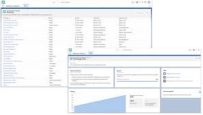 From Pdf To Labs App The Salesforce Optimizer Gets Redefined Salesforce Admins