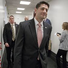 Paul ryan has been a curse to the republican party, the former president said, before offering he ryan, trump said, was a weak and ineffective leader in addition to not being in office since 2019. Paul Ryan Urges Republicans To Back Travel Ban Despite Anger Over Its Rollout Trump Travel Ban The Guardian