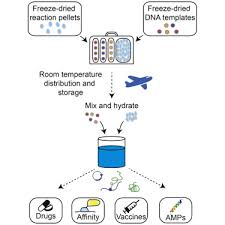 A flowchart is a picture of the separate steps of a process in sequential order. Portable On Demand Biomolecular Manufacturing Cell