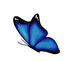 Chasing butterflies animated gif flowers blue butterflies spring happy spring spring gif. Blue Butterfly Gifs Get The Best Gif On Giphy