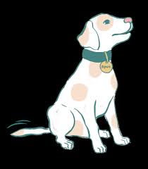 5 utility dr, ste 8 palm coast, fl 32137. Welcome To Dog Spotted Dog Spotted