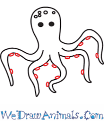 How To Draw An Octopus Octopuses have eight distinct tentacles that you should keep in mind when drawing. how to draw an octopus