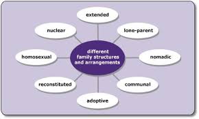Pin By Alex Paterson On Facs Family Structure Sociology Diversity Definition