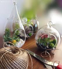 Terrarium Decoration 2019 Terrarium Miniature Garden Decoration 2019 Terrarium Decor Miniature Garden Terrarium