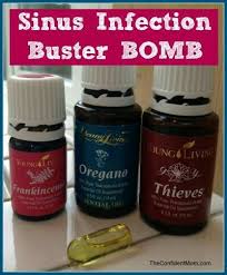 Sinus Infection Bomb Living Essentials Oils Oils For Sinus Essential Oils