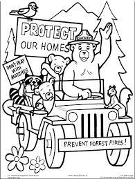 And you can freely use images for your personal blog! Color The Outdoors Us Forest Service