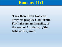 Romans The Book Of Chapter Ppt Download