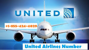 United Airlines Provide The Great Airline Services At The Cheapest Rate You Can Dial The United Airlines Number For The Flig United Airlines The Unit Airlines