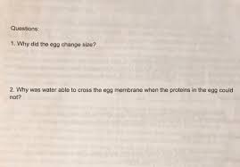 This lab activity will illustrate use a chicken egg as a human cell model. Solved Egg Experiment To Be Started During Week 1 Lab And Chegg Com