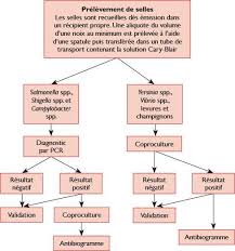We did not find results for: Diagnostic De La Gastroenterite Bacterienne