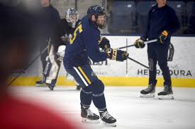 Dynamic newcomers join key offensive contributors for Augustana hockey