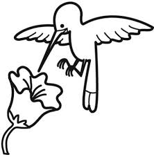 Kostenlose Malvorlage Vogel Kolibri Mit Blute Zum Ausmalen