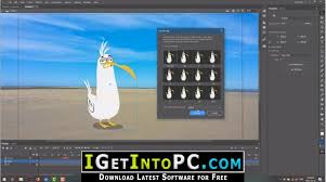 This would be working perfectly fine. Adobe Animate Cc 2019 Free Download