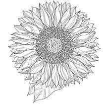 Zonnebloem Transparante Siliconen Stempel Zegel Voor Diy Scrapbooking Fotoalbum Decoratieve Duidelijke S Zonnebloem Tekening Bloemen Tekenen Mandala Tekeningen