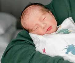 Franklin, TN November 2024 by City Lifestyle