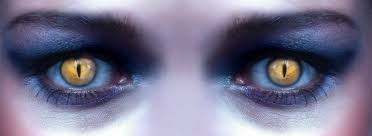 Pfeiffersches drüsenfieber, auch mononukleose genannt, ist eine infektionserkrankung, welche durch das epstein barr virus (ebv) ausgelöst wird. Schau Mir In Die Augen Foto Bild Verfremdung Geschl X Archiv Beauty More Bilder Auf Fotocommunity