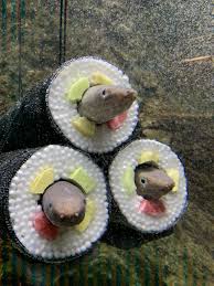 仙台うみの杜水族館公式 on twitter アナゴ 恵方 恵方巻き