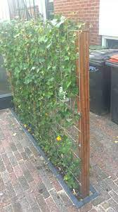 pin on tuin
