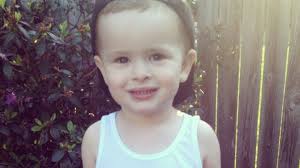 Fundraiser by Sarah McKay : Service Dog for GAGE