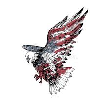 They are here to share. American Eagle Sketch Stock Illustrations 1 497 American Eagle Sketch Stock Illustrations Vectors Clipart Dreamstime