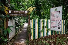 It is a small park, at 6,952 hectares (17,180 acres), and is composed largely of mixed dipterocarp forest, with some small areas of 'kerangas'. Lambir Hills National Park Miri Aktuelle 2021 Lohnt Es Sich Mit Fotos