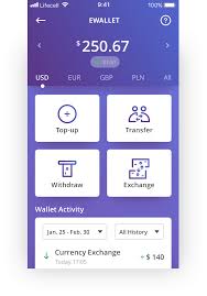 Electronic wallets are an excellent alternative to banks. á‰ Digital Wallet Or Pre Paid Ewallet Solutions Germany Wallet Factory