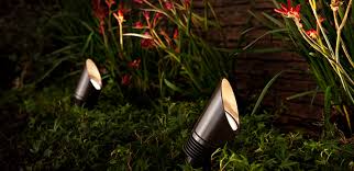 Np Fx Luminaire For All Tree Uplights 6w Led Landscape Lighting Outdoor Lighting Lighting