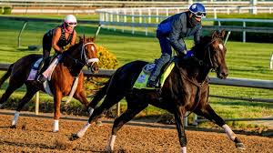 The 2019 kentucky derby will take place on may 4, 2019. 5lblqlc6f0omhm