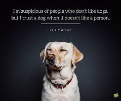 Найдите больше постов на тему dog spelled backwards is god. 165 Dog Quotes For People Who Love Dogs