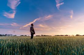 He interprets this message as an instruction to build a baseball field on his farm, upon which appear the ghosts of shoeless joe jackson and the other seven chicago white sox players banned from the game for throwing the 1919 world series. Field Of Dreams Pictures Download Free Images On Unsplash