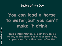 Saying You Can Lead A Horse To Water But You Can T Make It Drink Idioms And Phrases English Words English Idioms