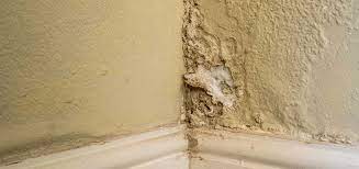 However the solution to the problems of humidity coming from the soil, caused by the absence of impermeable plaque or a waterproofing membrane, is complex. Are Damp Walls Bad For You Precision Basements Damp Proofing