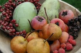 Concentrated apple puree, concentrated fruit juice (apple, elderberry), fruit purees (strawberry, raspberry, blackcurrant), gluten free wheat fibre, gelling agent (pectin), natural flavouring. Uncommon Fruits For Every Garden Lee Reich Joe Gardener