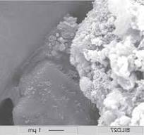 CONSTRUCTION, INDIA: PRODUCT OVERVIEW POLYMER DISPERSIONS