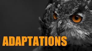 Biology For A Changing World 3rd Edition By Shuster Types Of Adaptations Animal Adaptations Adaptations Types Of Animals