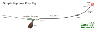 We did not find results for: Complete Guide To Carp Rigs For Beginners Carp Answers