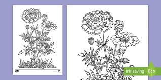 Pot marigold coloring page to color, print or download. Day Of The Dead Marigold Coloring Activity Day Of The Dead