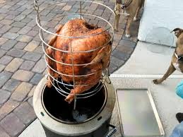 We did not find results for: Deep Fried Turkey Without Oil Step By Step Photos